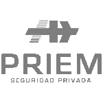 PRIEM Gris - Constelacion R