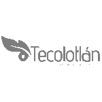 Tecolotlan Gris - Constelacion R